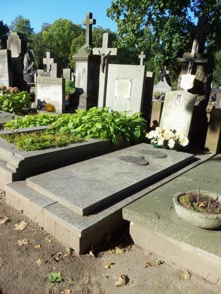 Zdjęcie grobu Stanisław Wyszomirski (1)
