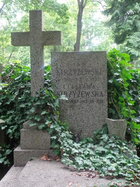 Zdjęcie grobu Czesława Strzyżewska (2)