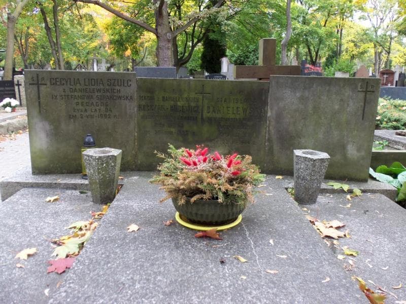 Zdjęcie grobu Stanisława Danielewska (2)