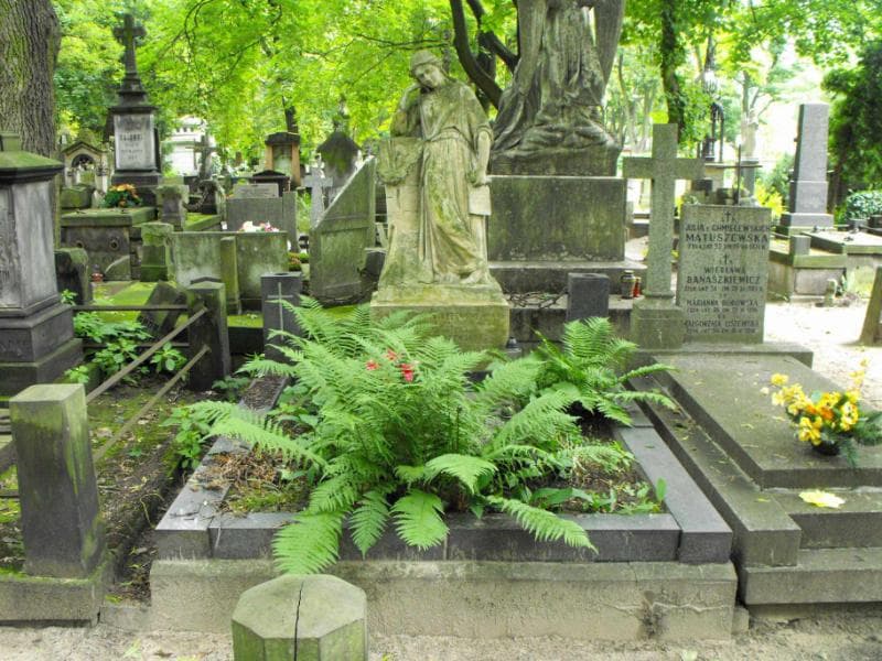 Zdjęcie grobu: Helena Stróżewska