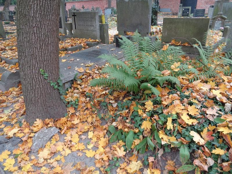 Zdjęcie grobu: Pole Grobowe