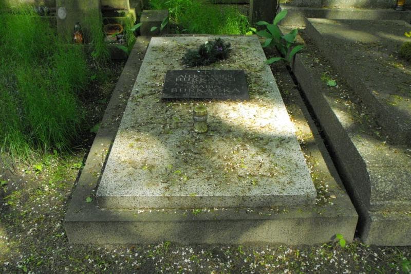 Zdjęcie grobu: Aleksander Burkacki