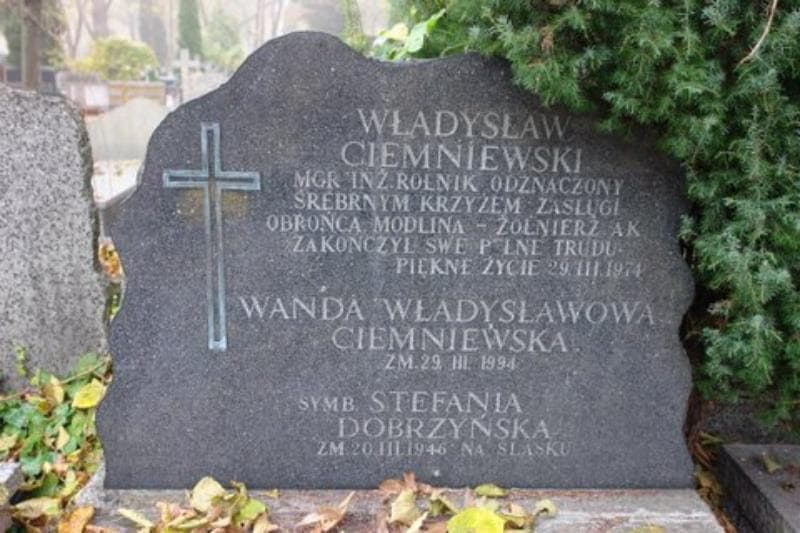 Zdjęcie grobu Władysław Ciemniewski (2)