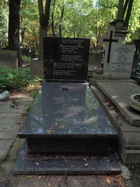Zdjęcie grobu Julian Maludziński (1)