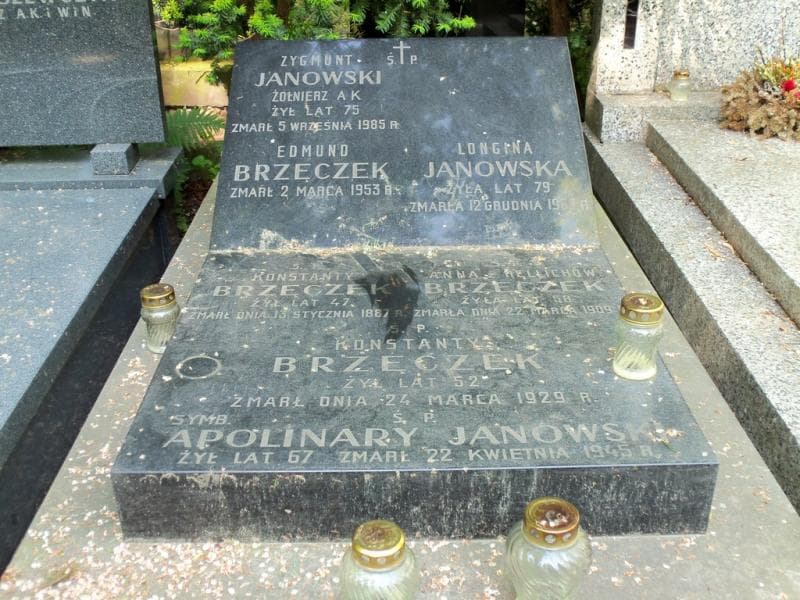 Zdjęcie grobu Apolinarty Janowski (2)