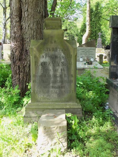Zdjęcie grobu Władysław Rydel (2)