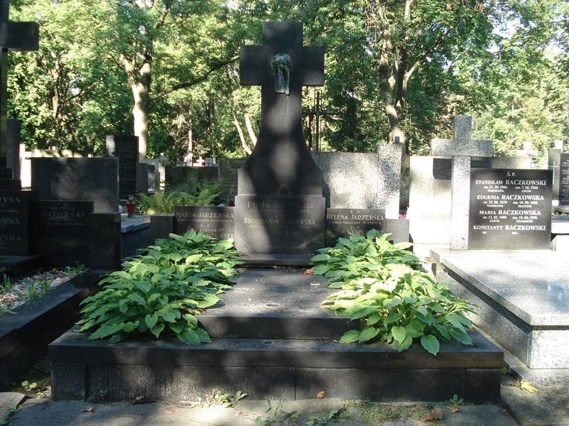 Zdjęcie grobu: Ludwik Jarzębski