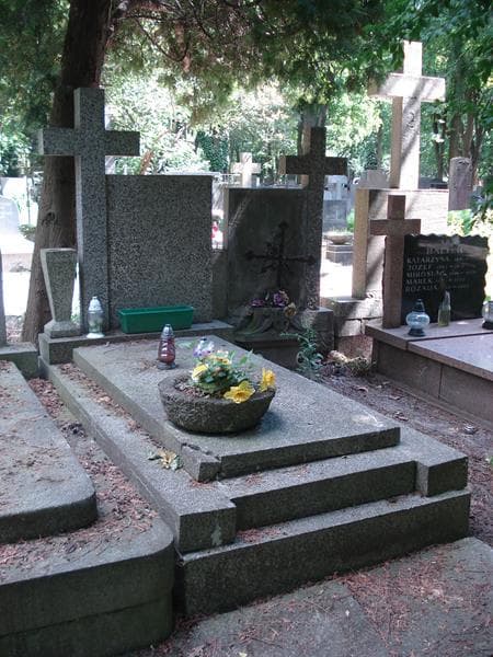 Zdjęcie grobu: Józef Pogonowski