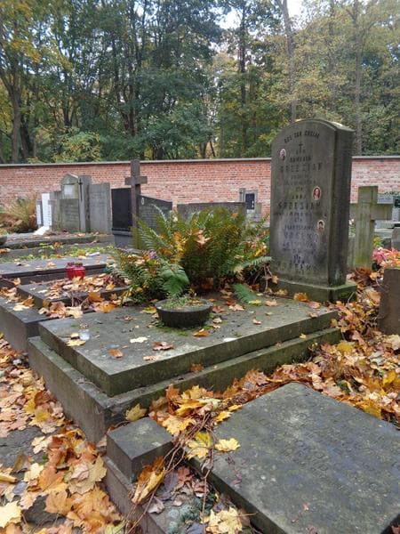 Zdjęcie grobu: Władysława Pudełko