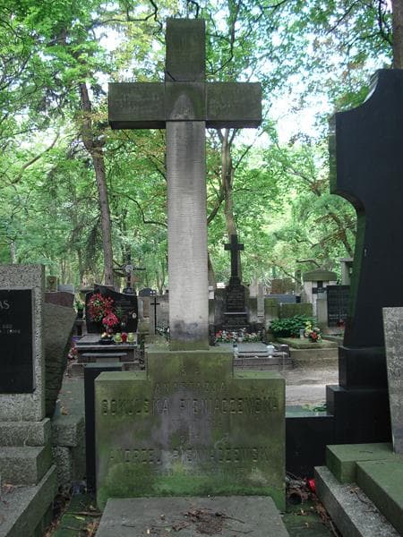 Zdjęcie grobu Andrzej Piśniaczewski (2)