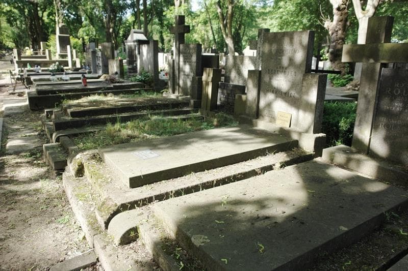 Zdjęcie grobu: Anna Derewojed