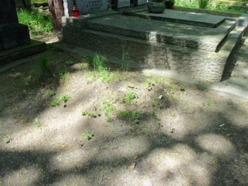 Zdjęcie grobu Pole Grobowe/anonim (1)