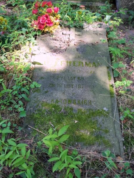 Zdjęcie grobu Józef Herman (2)