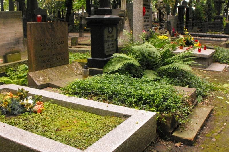 Zdjęcie grobu: Maria Wasiewicz