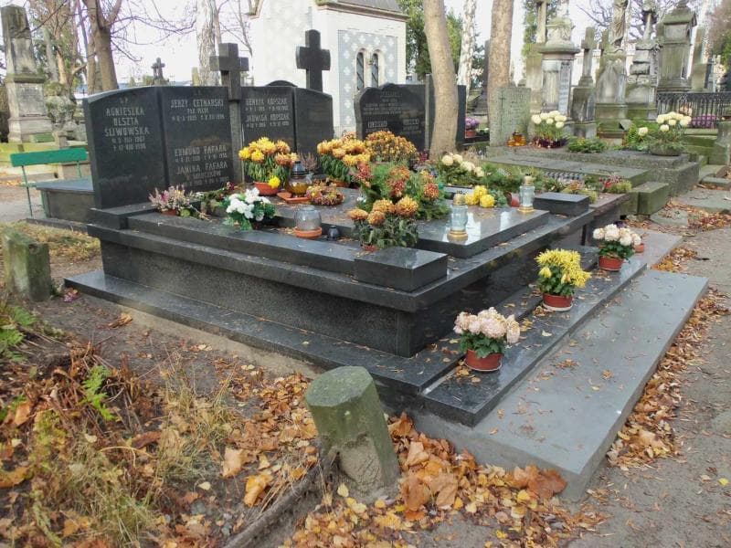 Zdjęcie grobu Agnieszka Olszta Śliwowska (1)