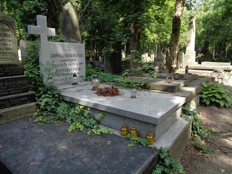 Zdjęcie grobu: Halina Balcerzak