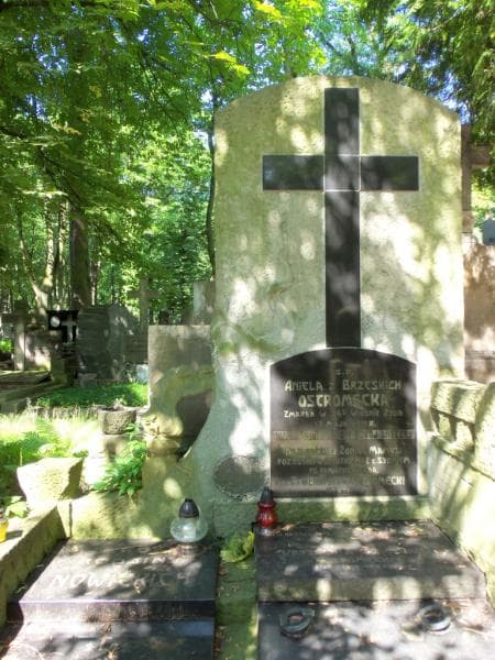 Zdjęcie grobu Janina Kozłowska (2)