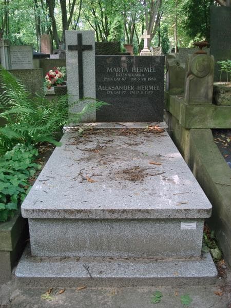 Zdjęcie grobu Aleksander Hermel (1)
