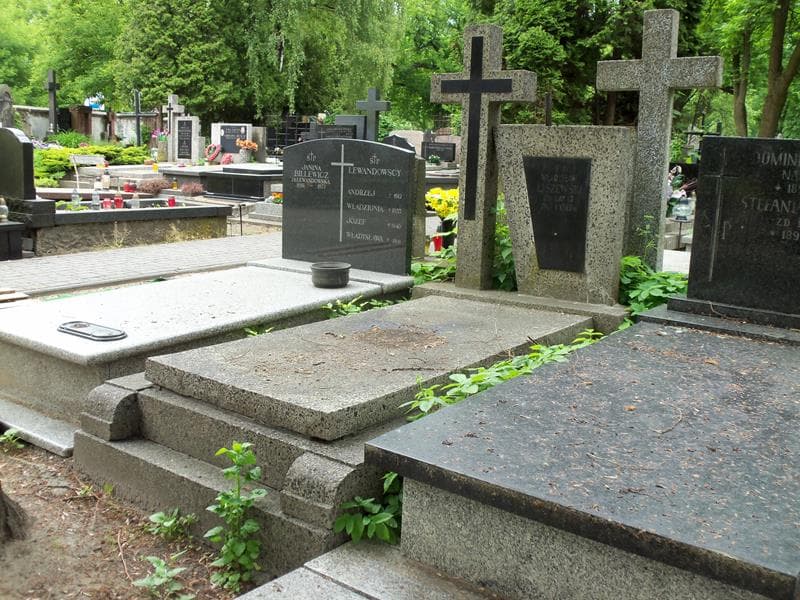 Zdjęcie grobu Władysław Liszewski (1)