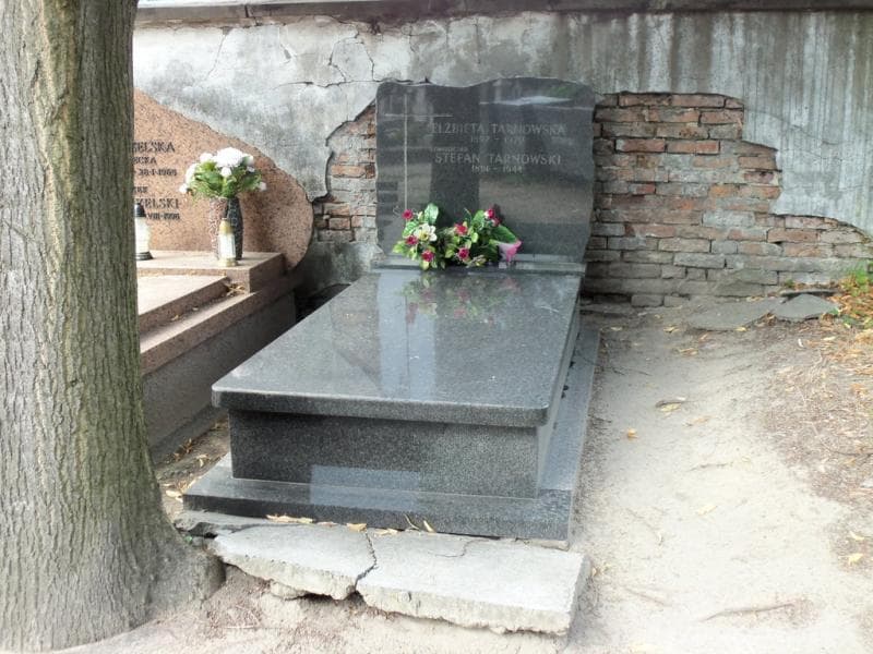 Zdjęcie grobu: Stefan Tarnowski