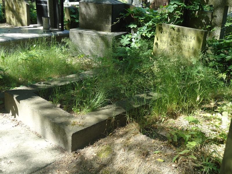 Zdjęcie grobu Zofia Wołyńska (1)