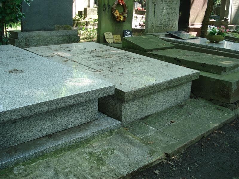Zdjęcie grobu Ewa Krystyna Siedlanowska-Krajewska (1)