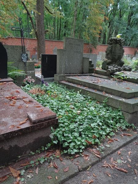Zdjęcie grobu: Gertruda Jarmuszewska