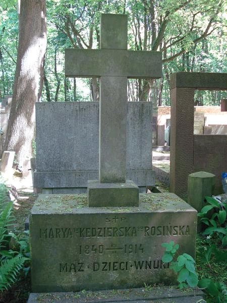 Zdjęcie grobu Apoloniusz Kędzierski (1)
