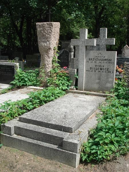 Zdjęcie grobu Janusz Krzyżanowski (1)
