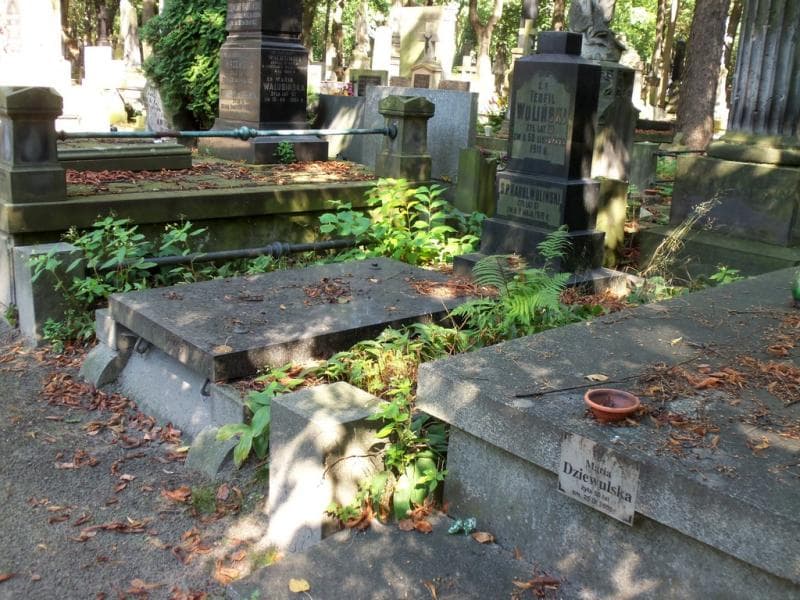 Zdjęcie grobu Karol Woliński (1)