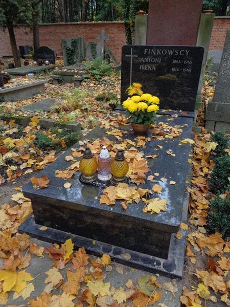Zdjęcie grobu Antoni Finkowski (1)