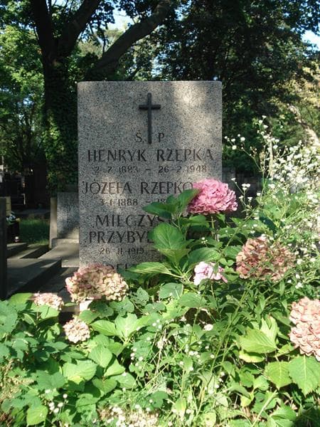 Zdjęcie grobu Józefa Rzepkowa (2)