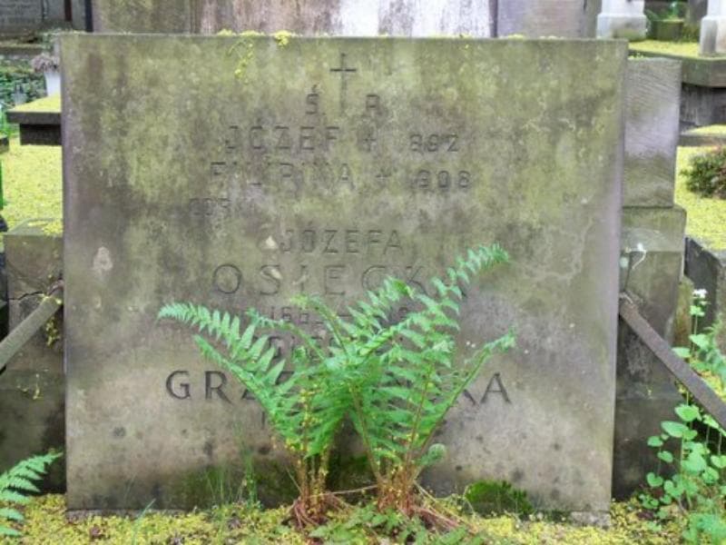 Zdjęcie grobu Józef Filipowicz (2)