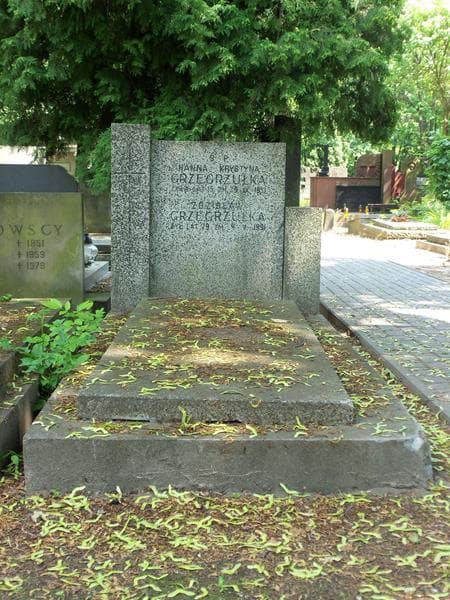 Zdjęcie grobu: Zdzisław Grzegrzułka