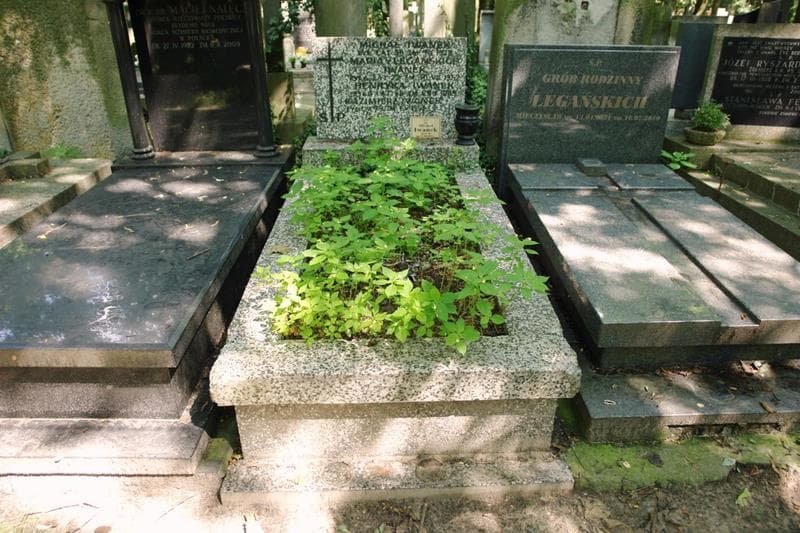 Zdjęcie grobu Henryka Iwanek (1)