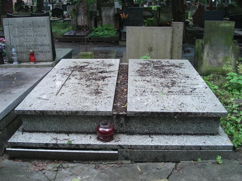 Zdjęcie grobu: Kazimierz Marczewski