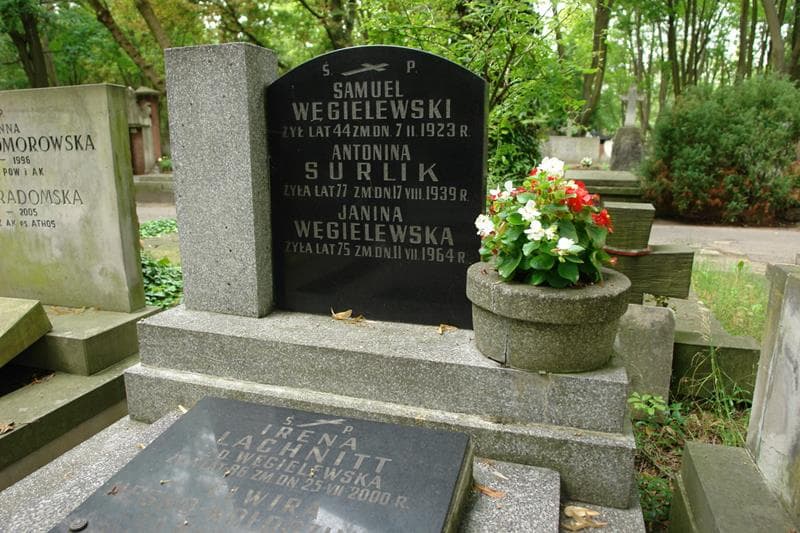 Zdjęcie grobu Elwira Hesko-Kołodzińska (2)