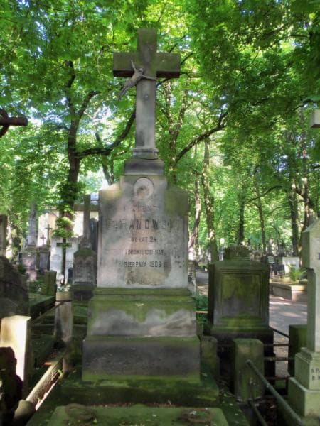 Zdjęcie grobu Walenty Baranowski (2)