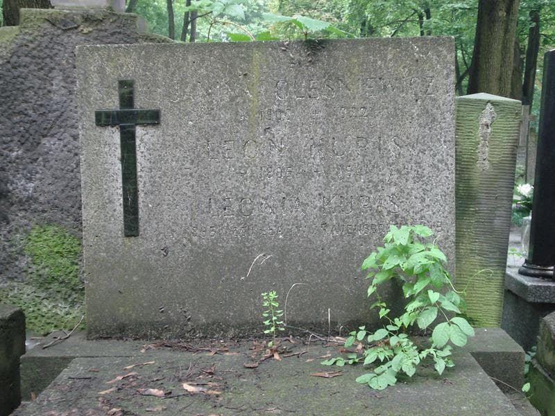 Zdjęcie grobu Leon Kupis (1)