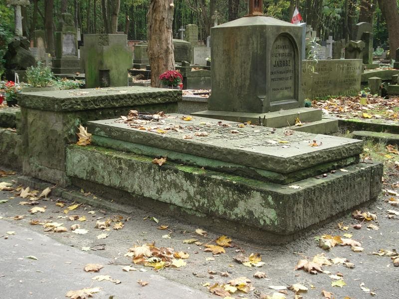 Zdjęcie grobu Józefa Goszcz (1)