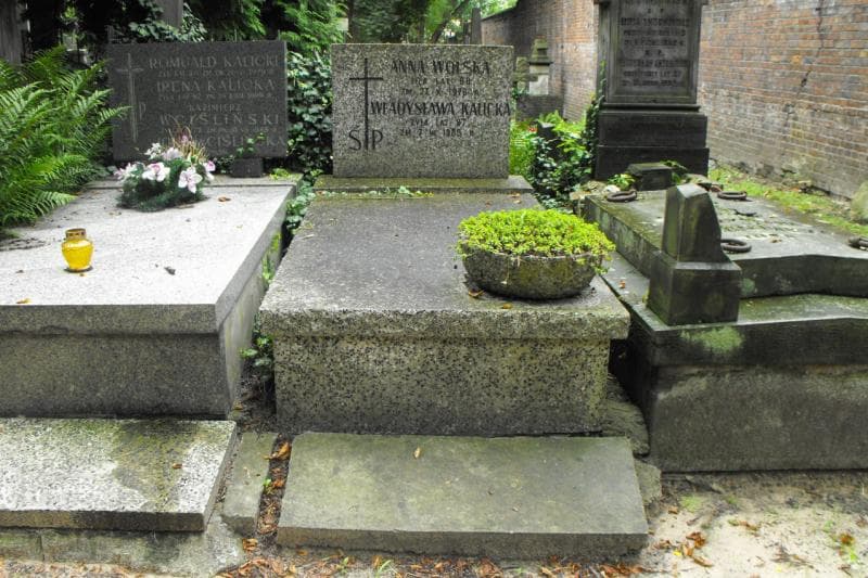 Zdjęcie grobu: Anna Wolska