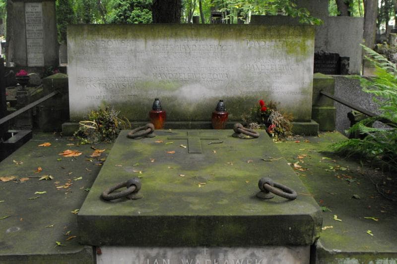 Zdjęcie grobu Stanisław Grzegorz Handzelewicz (2)