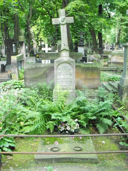Zdjęcie grobu Zygmunt Borzęcki (2)