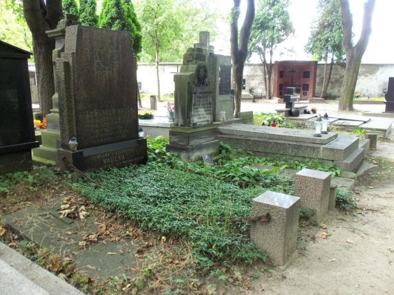 Zdjęcie grobu: Helena Walicka