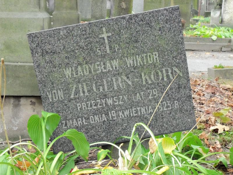 Zdjęcie grobu Władysław Wiktor Von Ziegern-Korn (2)