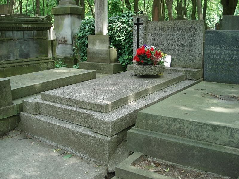 Zdjęcie grobu Michał Ciundziewicki (1)