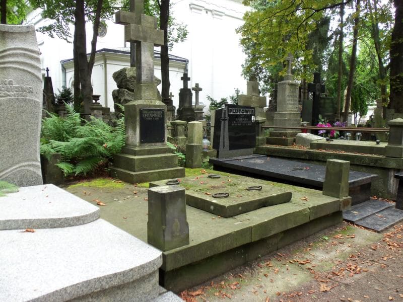 Zdjęcie grobu Karol Dobrowolski (1)