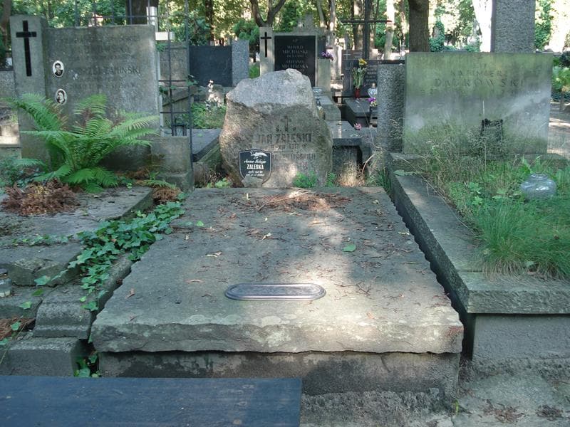 Zdjęcie grobu: Antonina Przewor