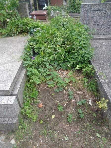 Zdjęcie grobu Pole Grobowe (1)