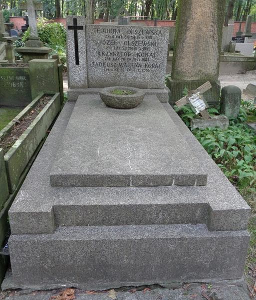 Zdjęcie grobu Józef Olszewski (1)